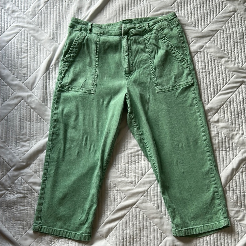 Kut from the Kloth linen women’s Green Cropped Pants . Spring summer vacation